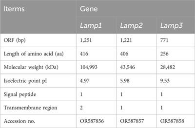 Characterization of three lamp genes from largemouth bass (Micropterus salmoides): molecular cloning, expression patterns, and their transcriptional levels in response to fast and refeeding strategy